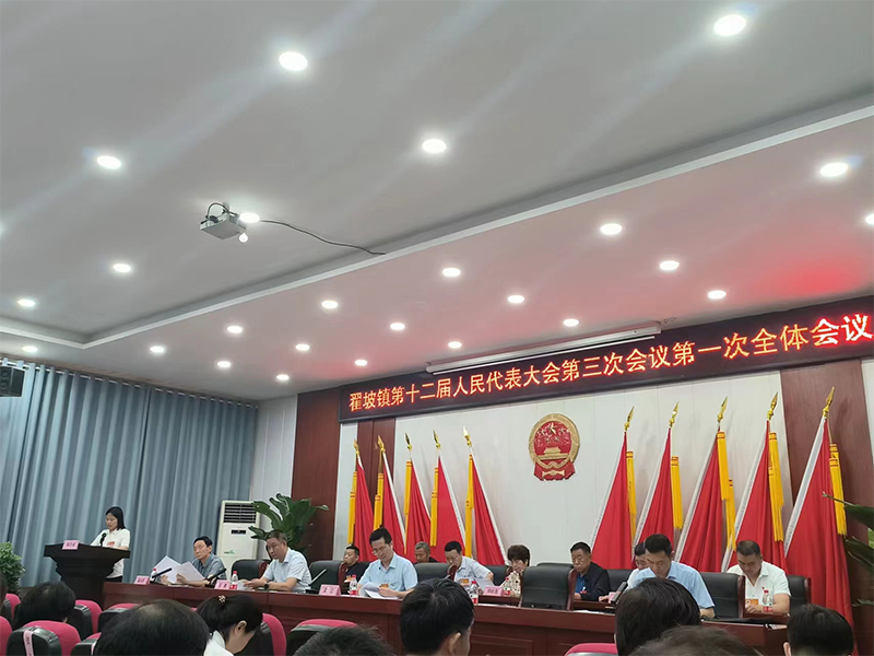 全面學(xué)習領(lǐng)會(huì )精神  凝心聚力謀發(fā)展